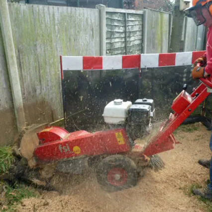 Stump removal job in process